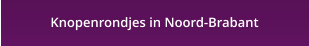 Knopenrondjes in Noord-Brabant