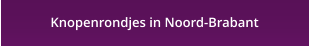 Knopenrondjes in Noord-Brabant