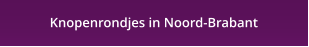 Knopenrondjes in Noord-Brabant