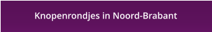 Knopenrondjes in Noord-Brabant